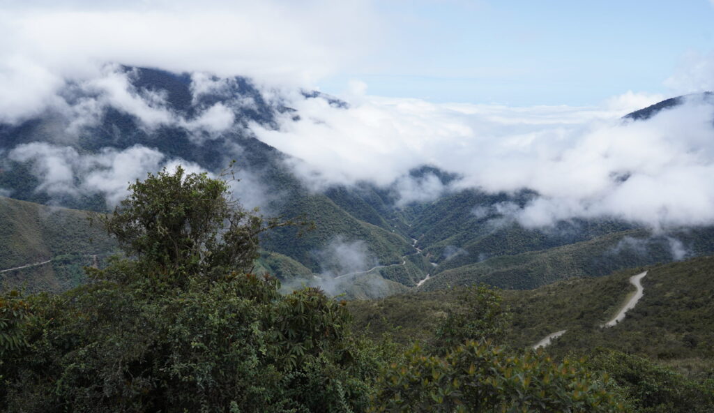 Bonanza Ecological Reserve - Cusco
