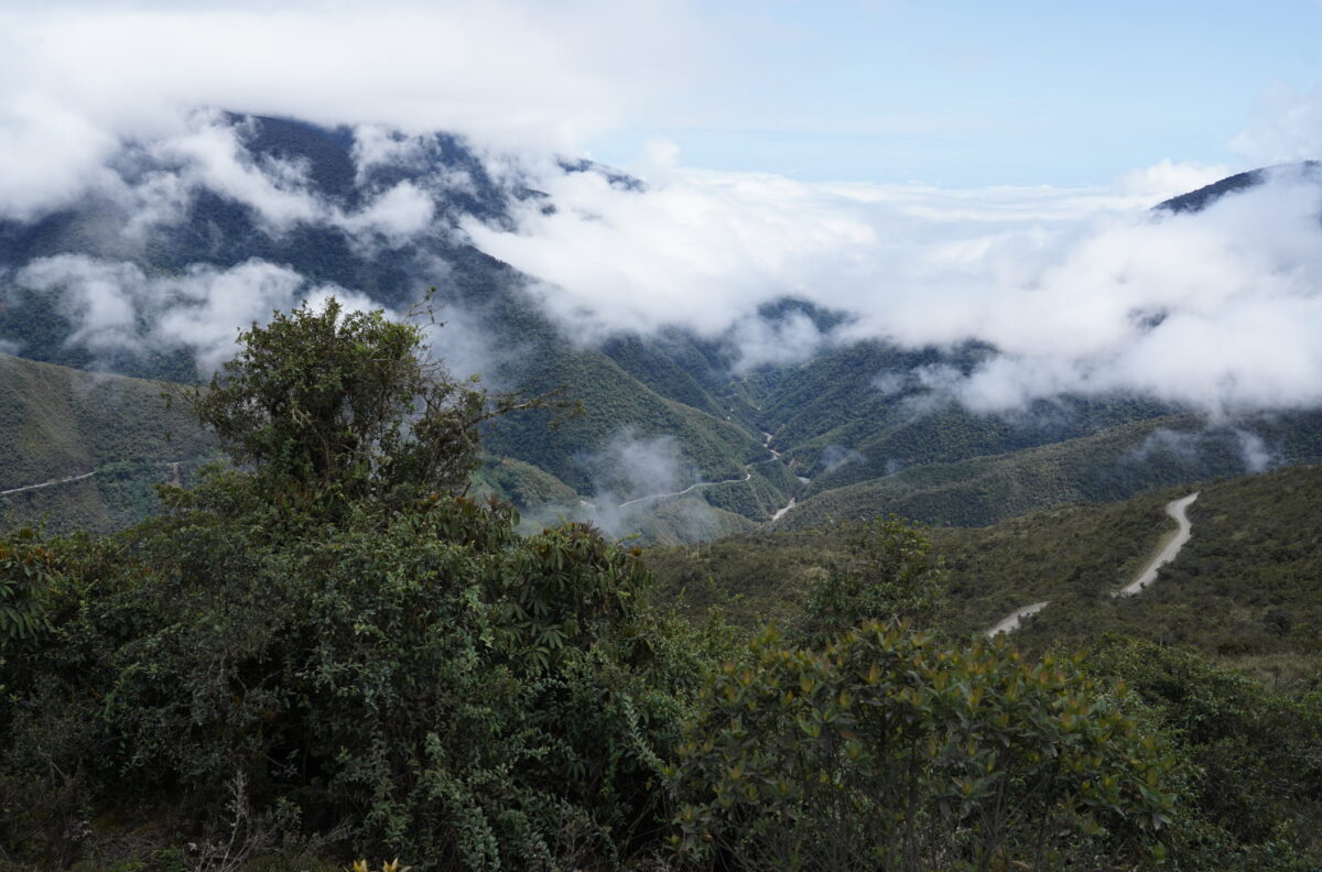 Cusco – Rainforest Lodge