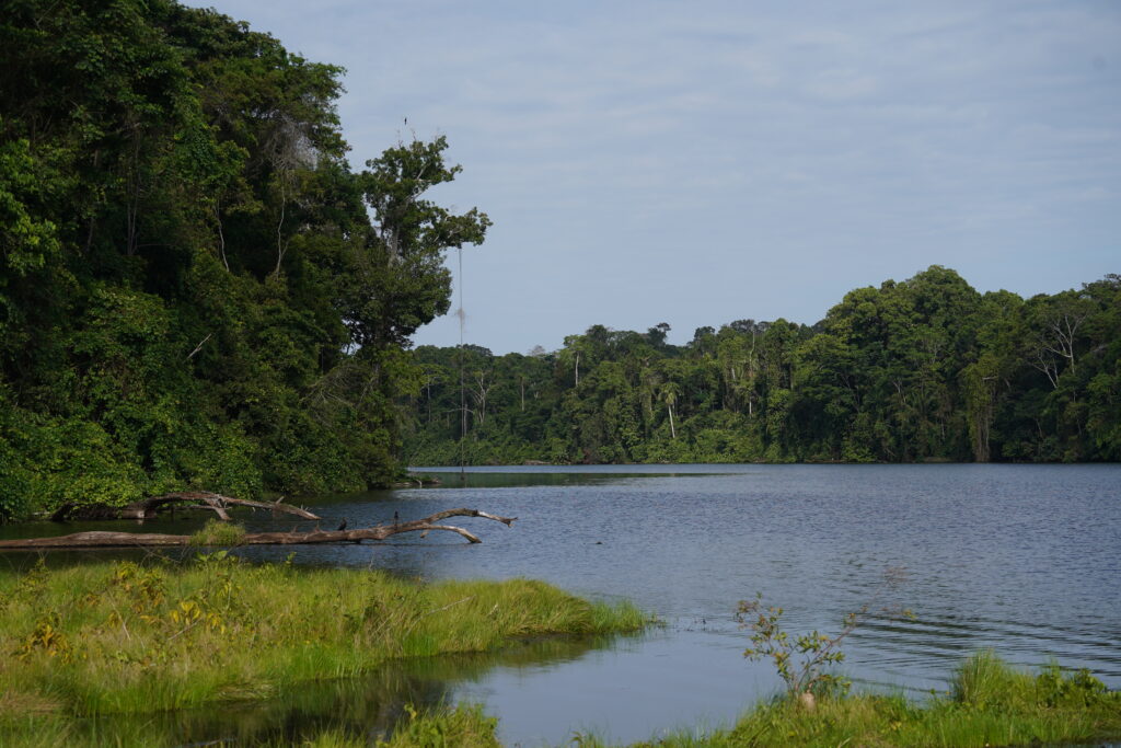 Puerto Maldonado – Cusco or Lima