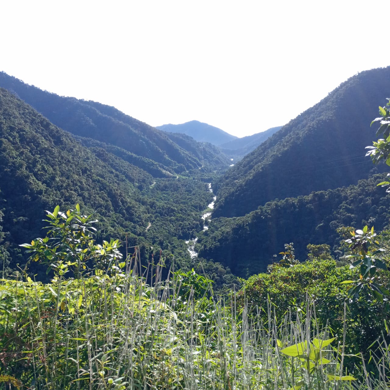 Cusco – Rainforest Lodge