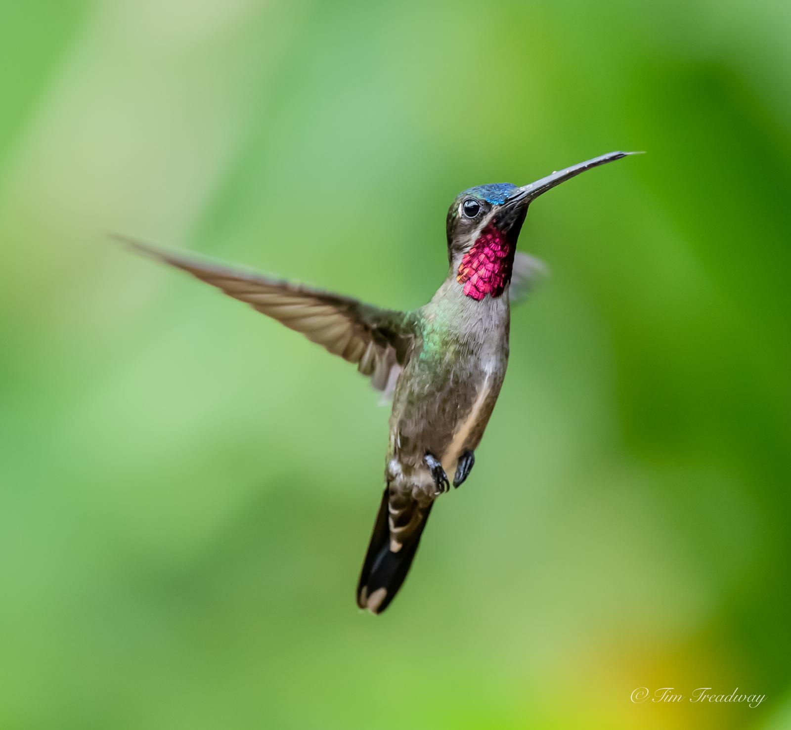 Rainforest Lodge – Cusco