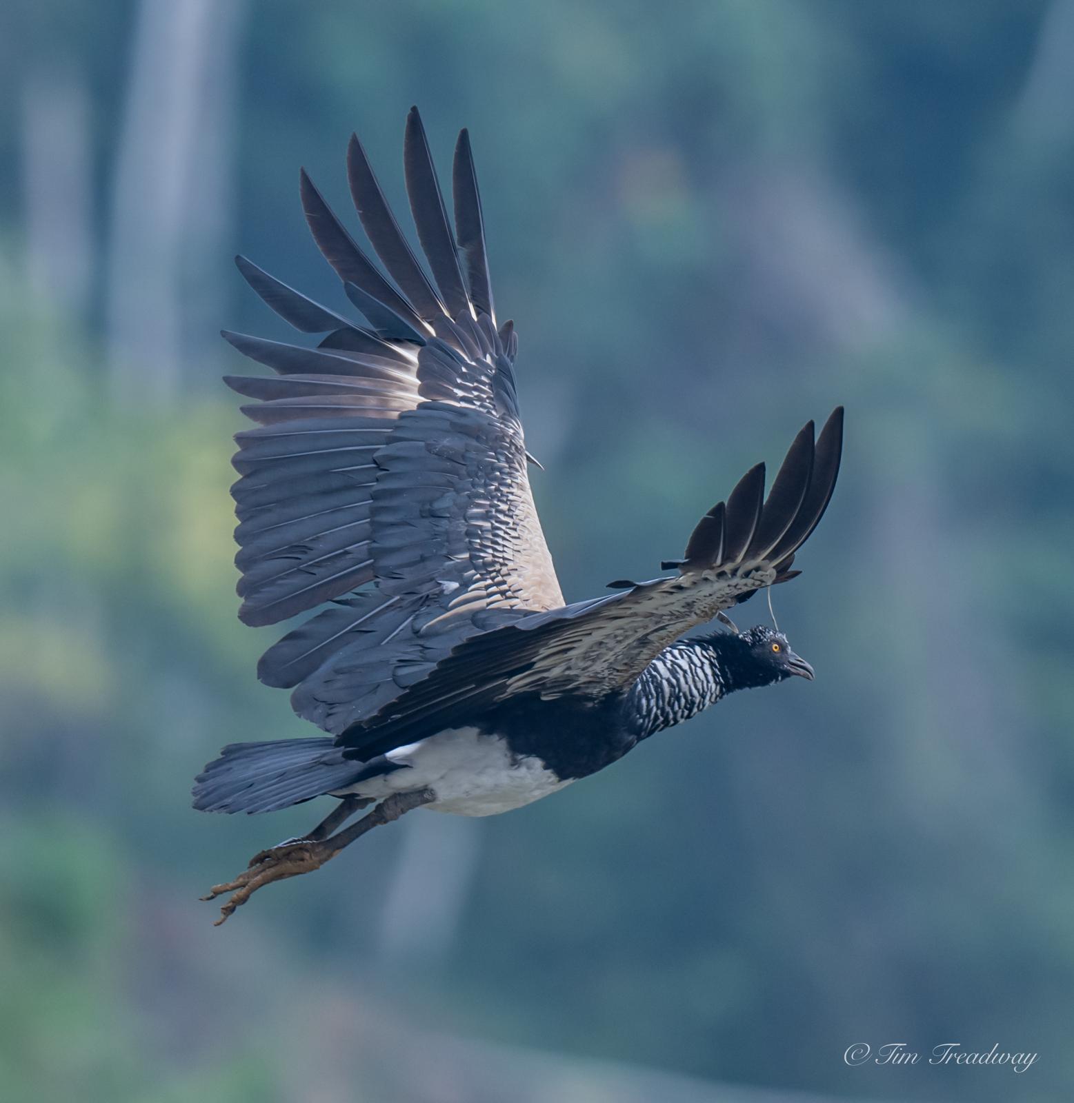Jaguar Ecolodge – Cocha Salvador