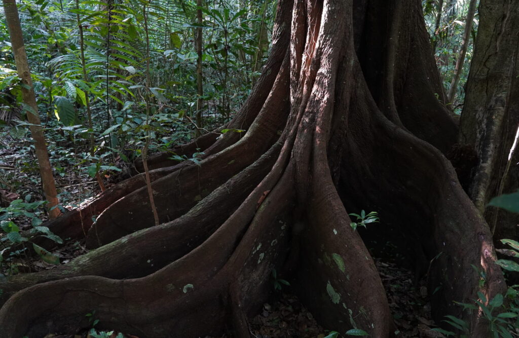 Bonanza Ecological Reserve