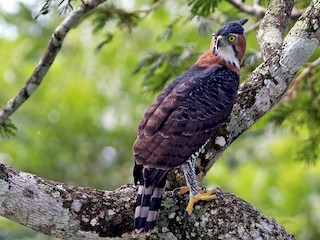 Exploring in Bonanza Ecological Reserve