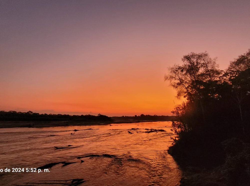 WhatsApp Image 2024-08-15 at 5.57.13 PM